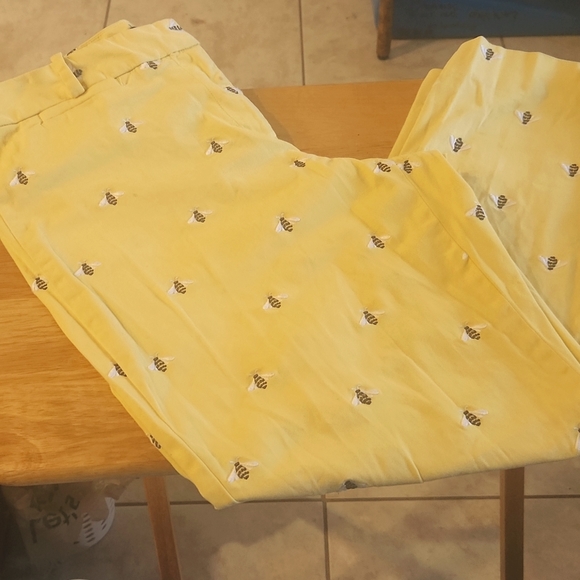 Talbots Bumble Bee 🐝  Ankle 🐝 Pants - Picture 1 of 6